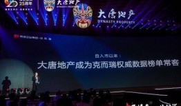 南宁大唐地产爆料案件最新,揭开背后真相与争议